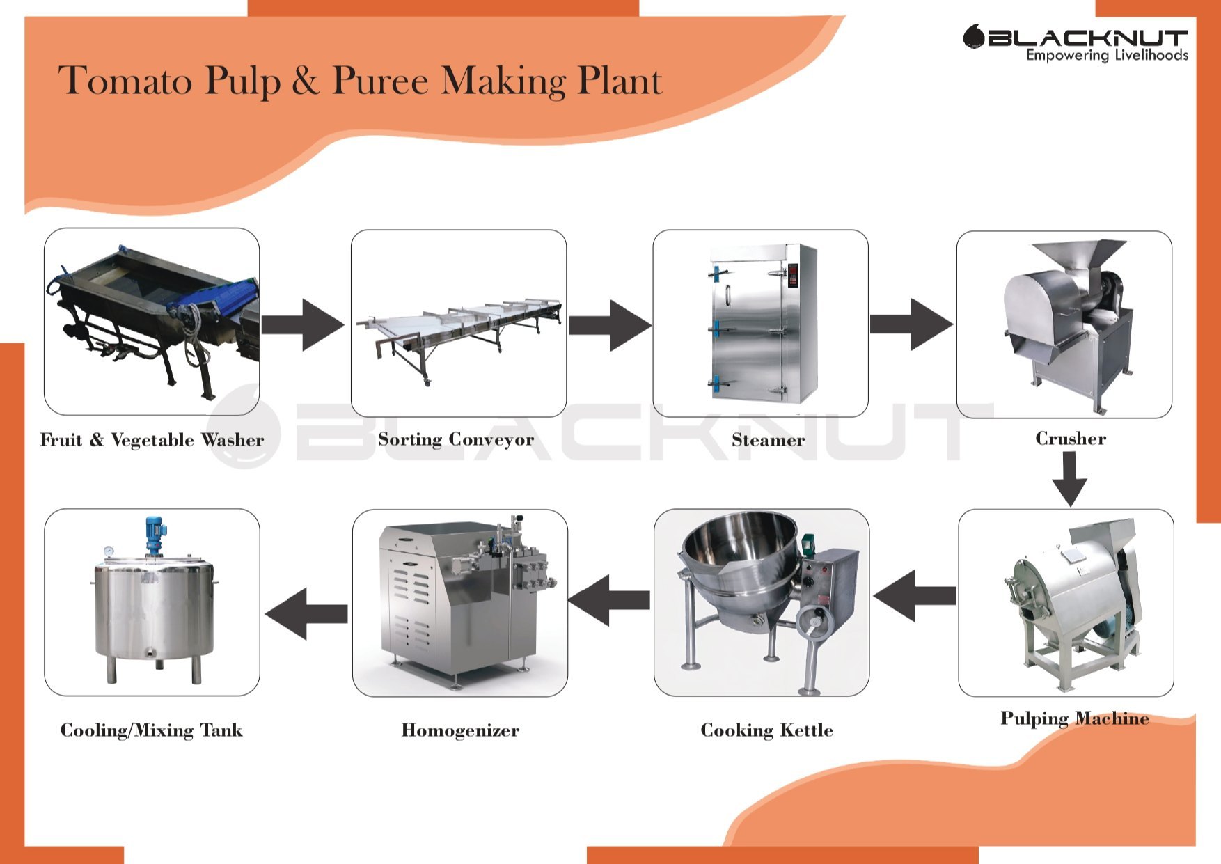 Tomato Pulp And Puree Plant