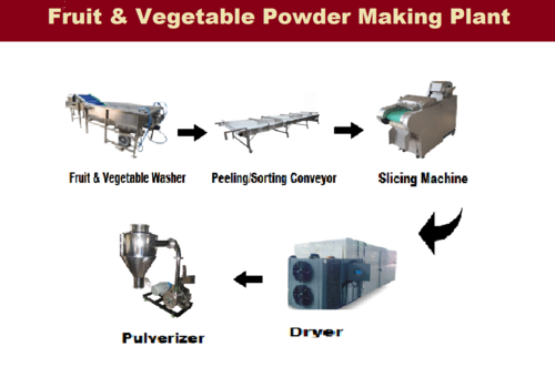 Garlic Powder Making Plant