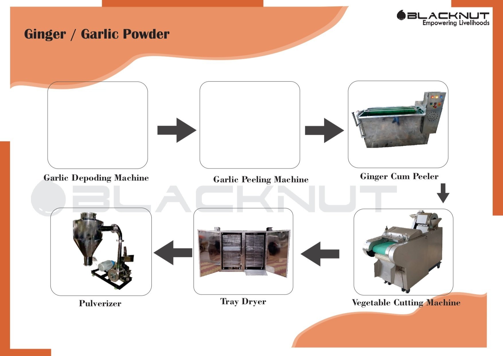 Garlic Powder Making Plant