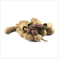 Raw Tamarind