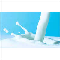 Milk Dairy Software