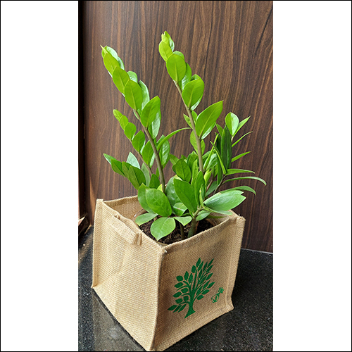 Brown Grow Bag For Plants