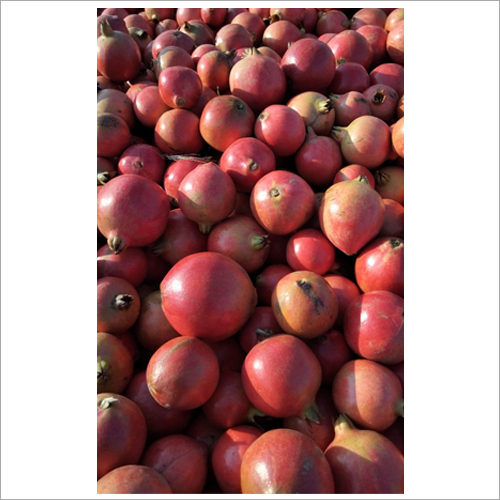 Red Pomegranate Fruit