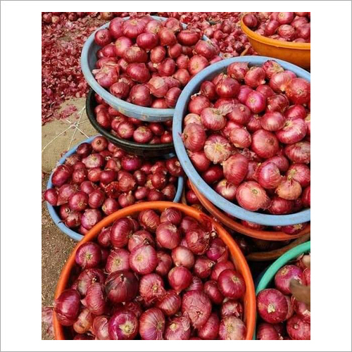 Organic Onion Moisture (%): 50%
