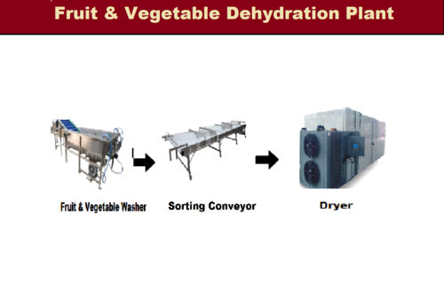 Leafy Vegetables Dehydration Plant