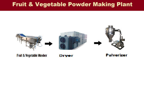 Leafy Vegetable Powder Making Plant