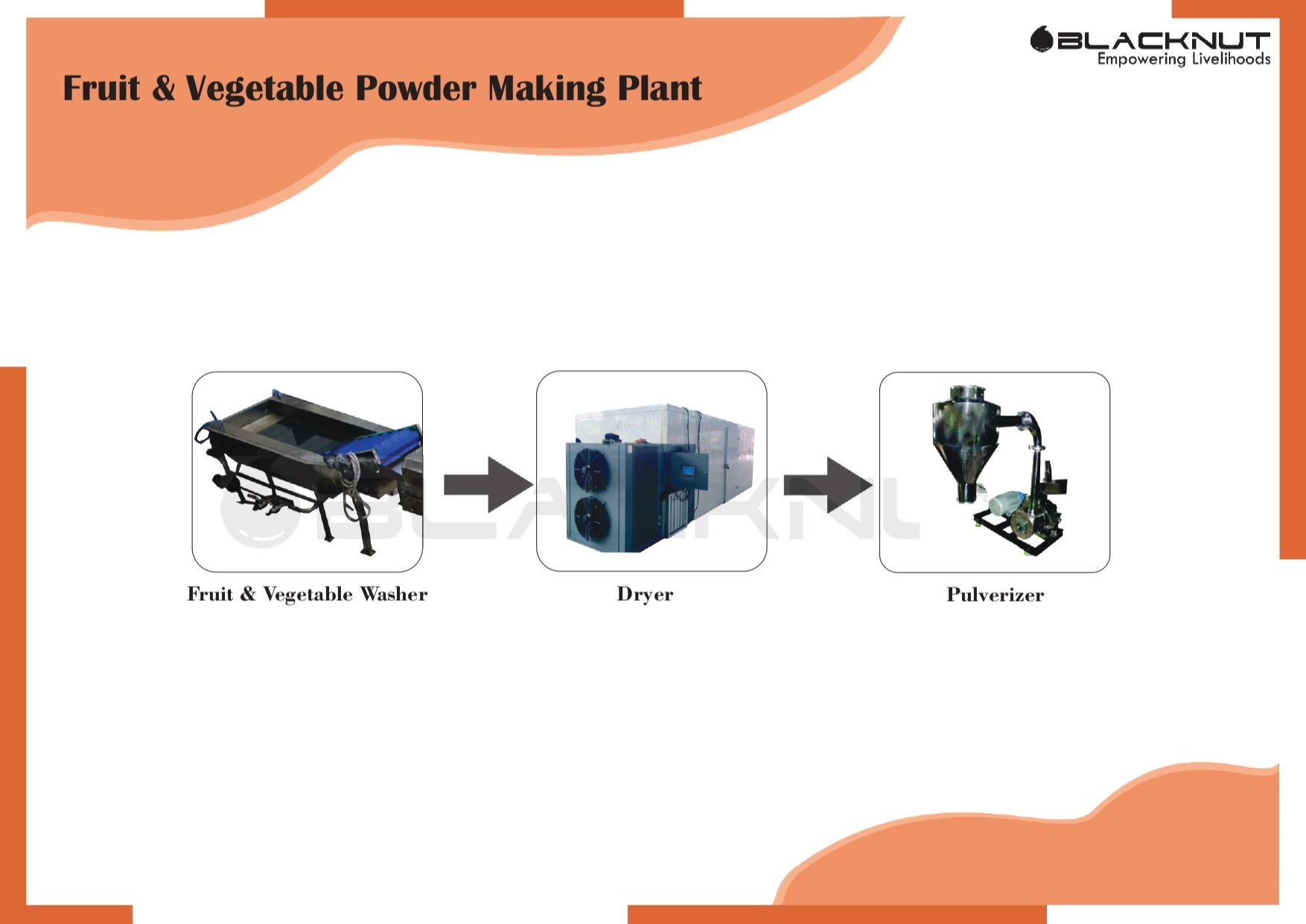 Leafy Vegetable Powder Making Plant