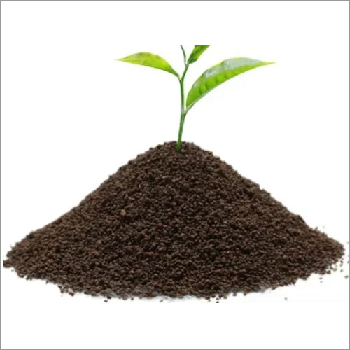 Amruttulya Masala Tea Powder - Fresh Tea Powder, Nil Moisture Content, Sweet Taste | First Class Health Tea Delight