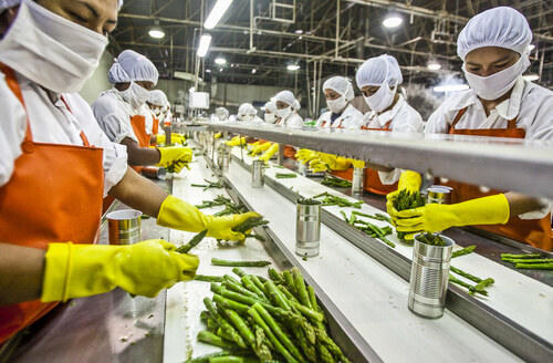 Food Processing Tender Information