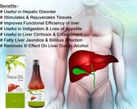 Feeliv DS Syrup for liver Health 200ml Liver Tonic Syrup