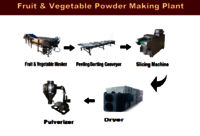 Onion Powder Making Plant