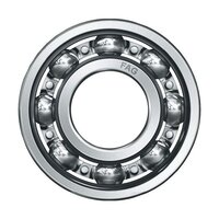 Axial Load Cylindrical Roller Bearings Fag