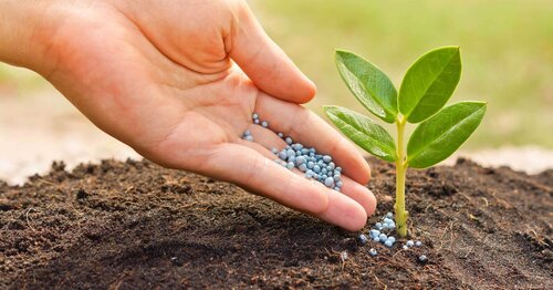 Fertilizer Analysis
