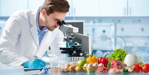 Food Testing Services