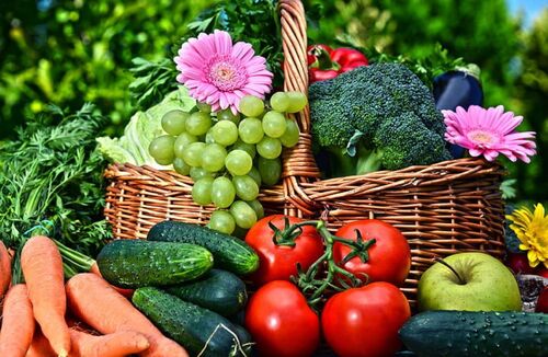 Fruits And Flowers And Vegetables Tender Information