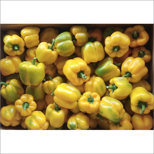 Fresh Yellow Capsicum