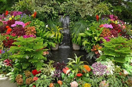 Plants And Gardening Tender Information