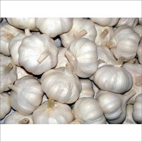 Natural Fresh Garlic