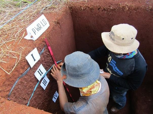 Soil Survey Tender Information