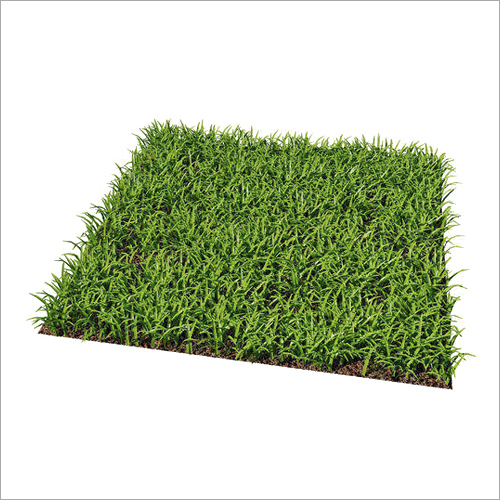 Washable Artificial Grass