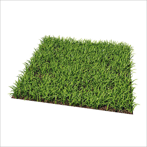 Artificial Grass