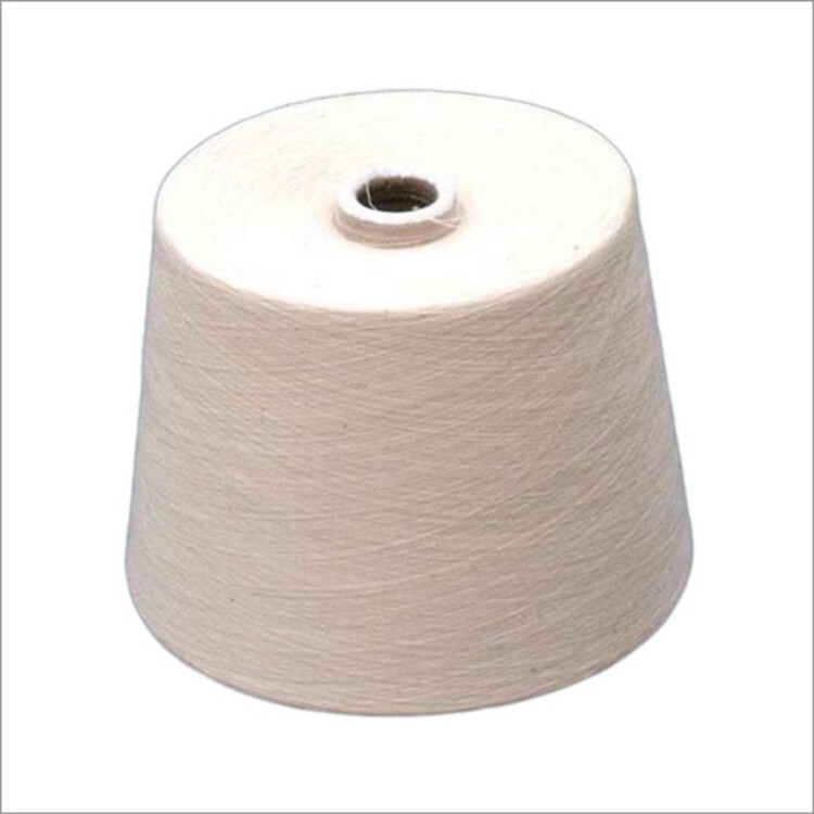 Champion Style 1100 Hydraulic Packing - Color: White