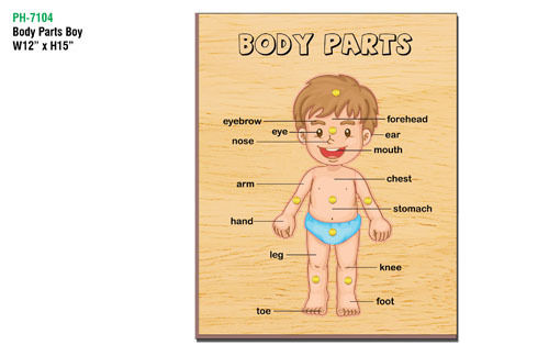 Body Parts