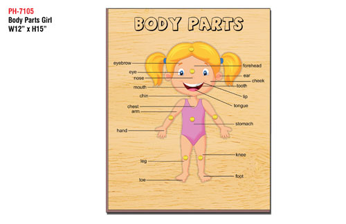 Body Parts Girl.