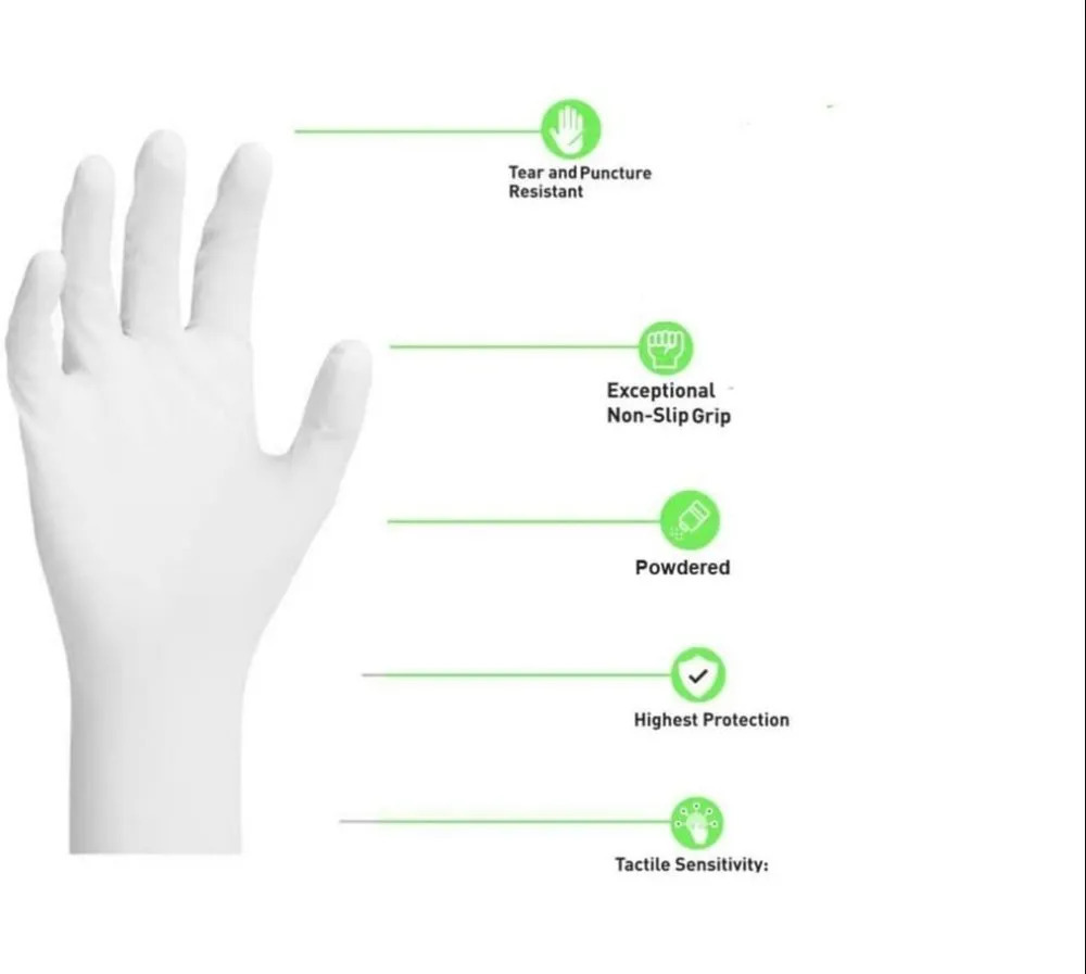 Latex Glove Powdered