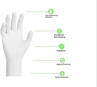 Latex Glove Powdered