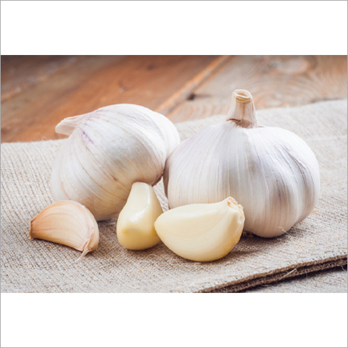 Fresh White Garlic
