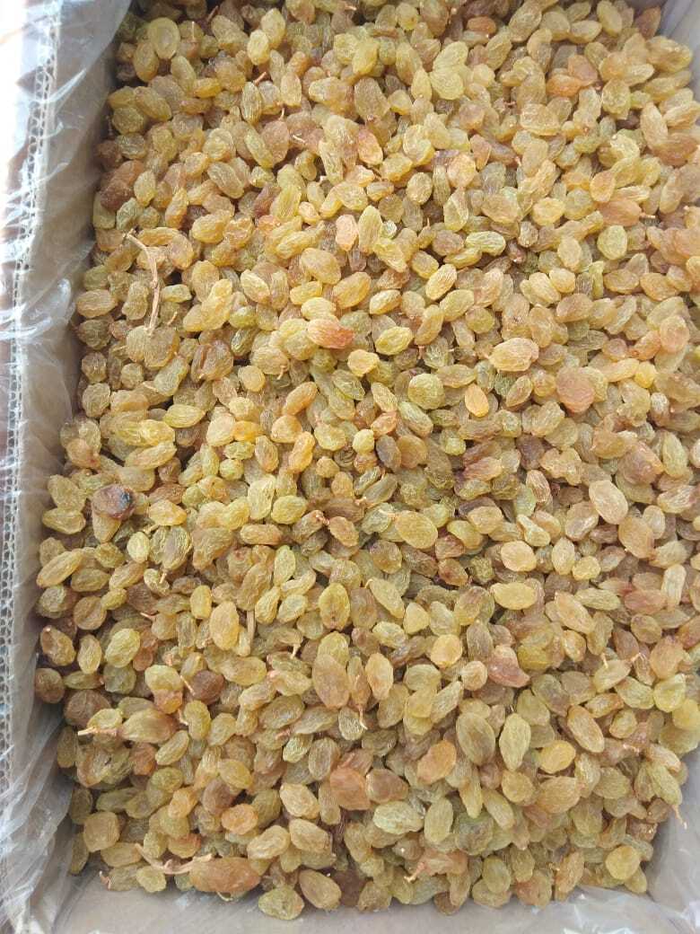Dried  Raisins