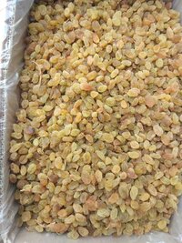 Dried  Raisins