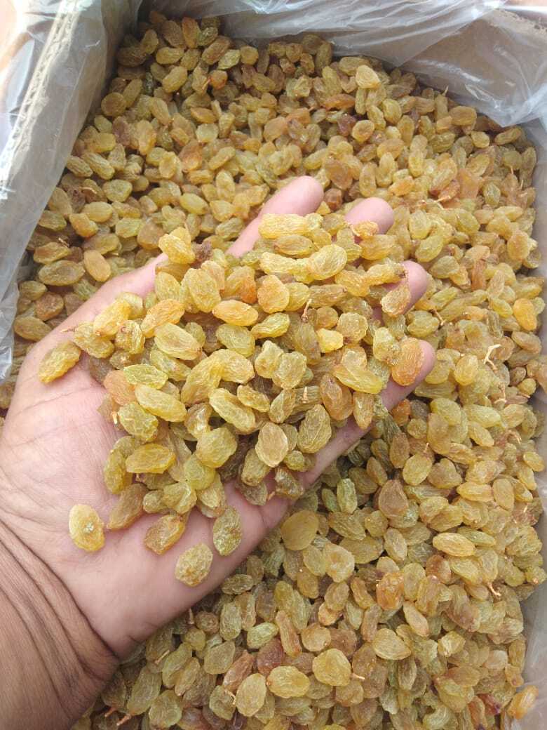Dried  Raisins