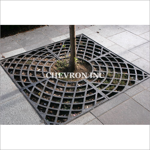 Checkered Tree Grates