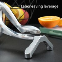 Manual Fruit Press Juicer