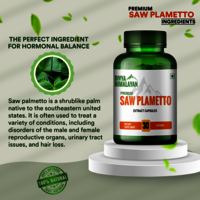 Divya Himalayan Saw Palmetto Extract Supplement