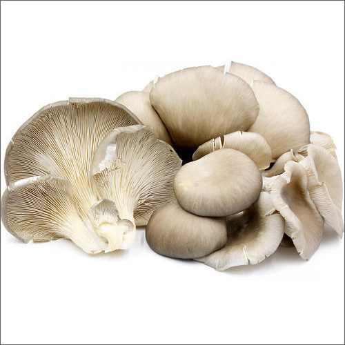 Sajor Caju Dry Mushroom