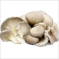 Sajor Caju Dry Mushroom
