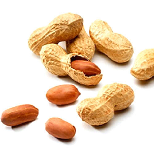 Brown Organic Whole Peanut