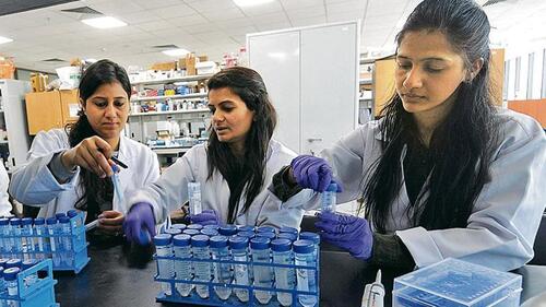 Agri And Food Testing Laboratory Mohali Tender information