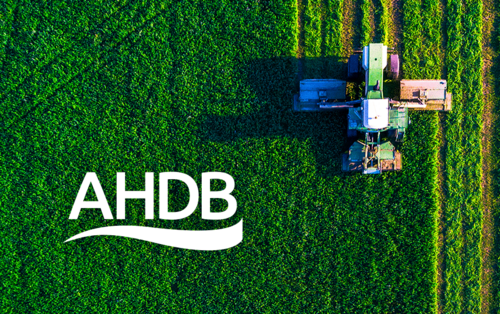 Agriculture And Horiticulture Development Board Tender Information