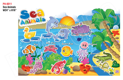 Sea Animals-Educational Wall Cutout