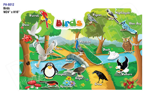 Birds-Educational Wall Cutout