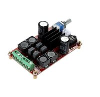 Red Tpa3116 D2 50W- 50W ड्यूल चैनल स्टीरियो डिजिटल एम्पलीफायर बोर्ड Dc 5V 24V Xh-M189 पावर एम्पलीफायर बोर्ड