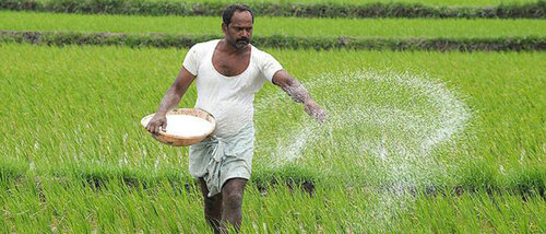 Agriculture Tender Information - Comprehensive Overview of Latest Government Opportunities | Timely Updates, Easy Access, User-Friendly Interface