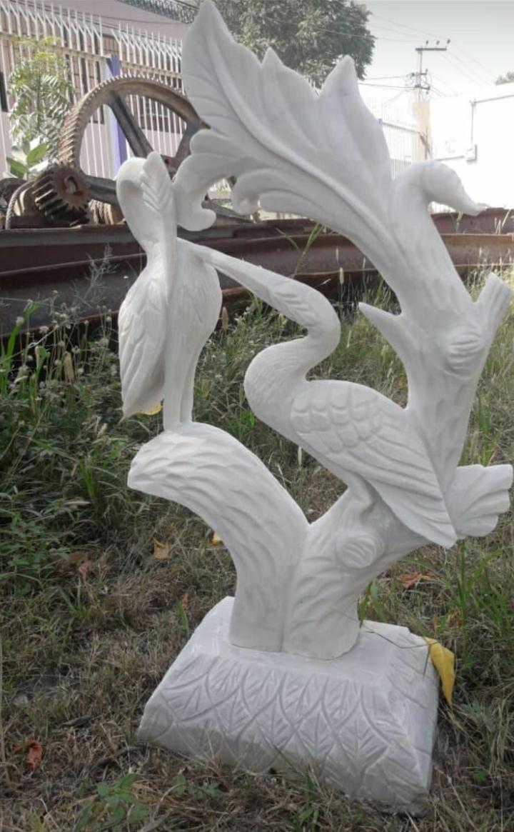 Stone Fig