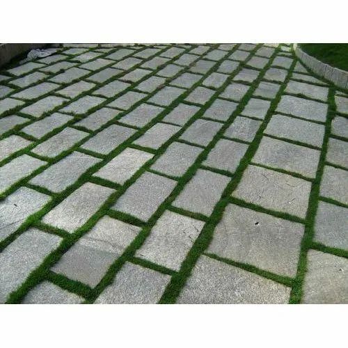 Paving Stone