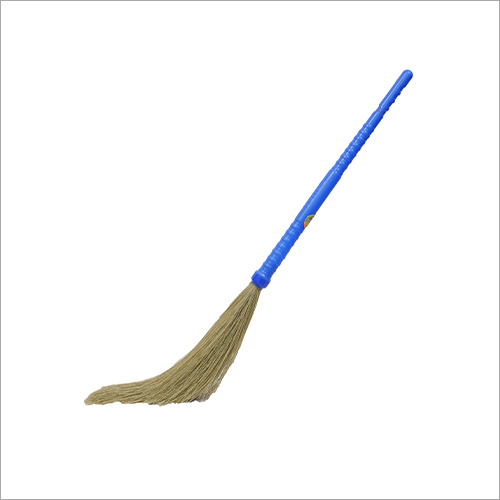 Blue Venus Grass Broom
