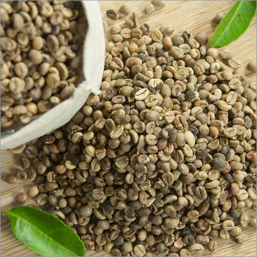 Common Robusta S13 Coffee Beans